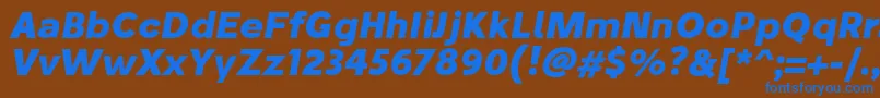 StiluBoldoblique Font – Blue Fonts on Brown Background