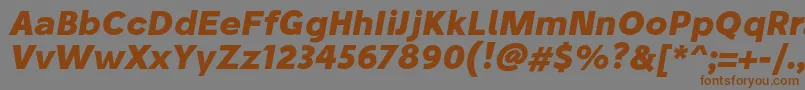 StiluBoldoblique Font – Brown Fonts on Gray Background