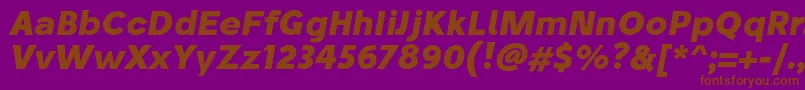 StiluBoldoblique Font – Brown Fonts on Purple Background