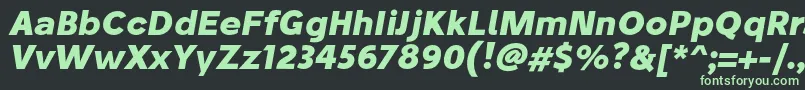 StiluBoldoblique Font – Green Fonts on Black Background