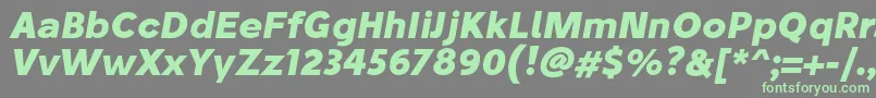 StiluBoldoblique Font – Green Fonts on Gray Background