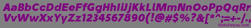 Шрифт StiluBoldoblique – фиолетовые шрифты на сером фоне