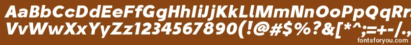 StiluBoldoblique Font – White Fonts on Brown Background