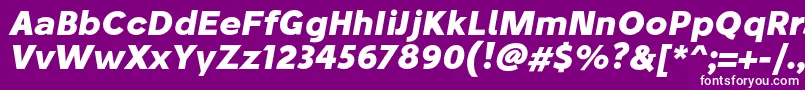 StiluBoldoblique Font – White Fonts on Purple Background