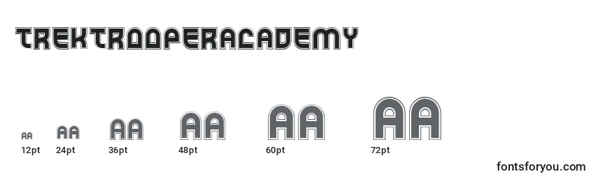 TrekTrooperAcademy Font Sizes
