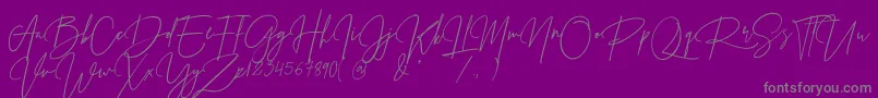 PrestigeSignatureScriptDemo-Schriftart – Graue Schriften auf violettem Hintergrund