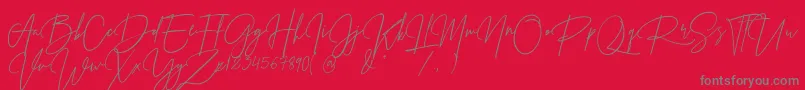 Шрифт PrestigeSignatureScriptDemo – серые шрифты на красном фоне