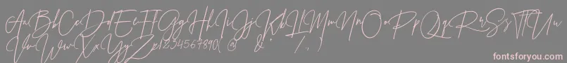 PrestigeSignatureScriptDemo-Schriftart – Rosa Schriften auf grauem Hintergrund