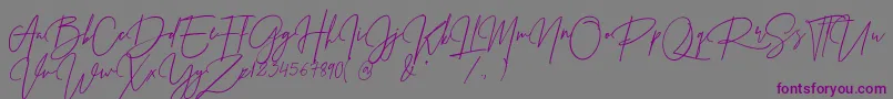 PrestigeSignatureScriptDemo Font – Purple Fonts on Gray Background