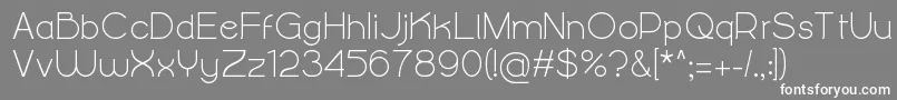 フォントAlightyNesia – 灰色の背景に白い文字