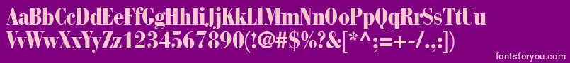 BodoniRecutBlackcondensedSsiNormal Font – Pink Fonts on Purple Background