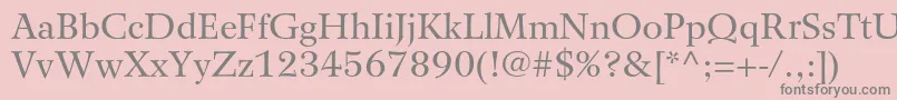 WilkeltstdRoman Font – Gray Fonts on Pink Background