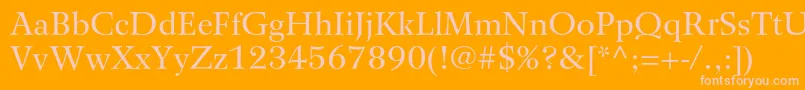 WilkeltstdRoman Font – Pink Fonts on Orange Background