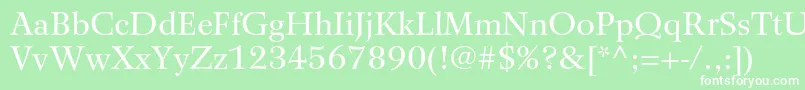 WilkeltstdRoman Font – White Fonts on Green Background