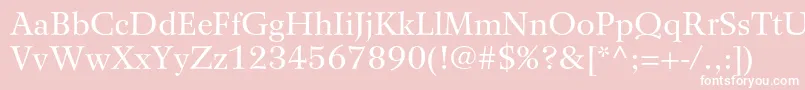 WilkeltstdRoman Font – White Fonts on Pink Background