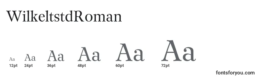 WilkeltstdRoman Font Sizes