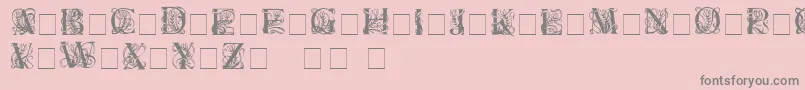 ElzevierC Font – Gray Fonts on Pink Background