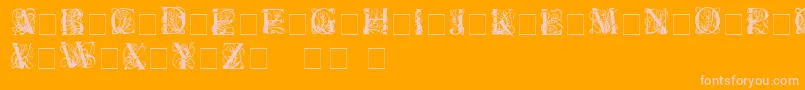 ElzevierC Font – Pink Fonts on Orange Background