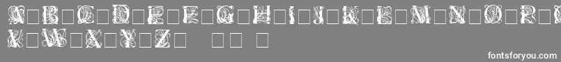 ElzevierC-Schriftart – Weiße Schriften auf grauem Hintergrund