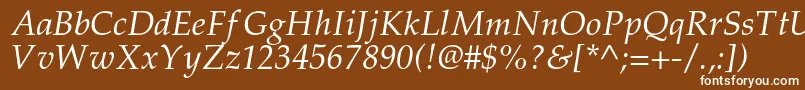 フォントPalladiumcItalic – 茶色の背景に白い文字