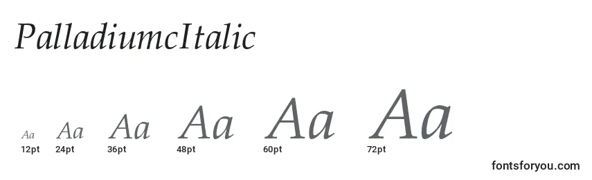 Größen der Schriftart PalladiumcItalic