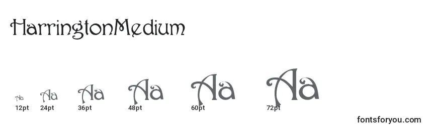 Размеры шрифта HarringtonMedium