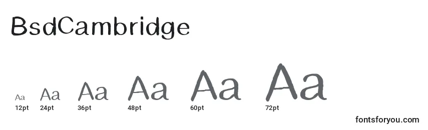 BsdCambridge Font Sizes