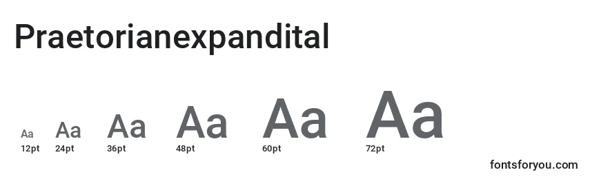 Размеры шрифта Praetorianexpandital