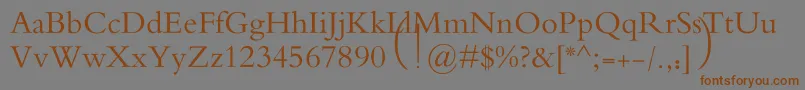 MotkenAlRafidain Font – Brown Fonts on Gray Background