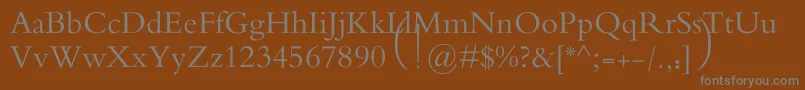 MotkenAlRafidain Font – Gray Fonts on Brown Background