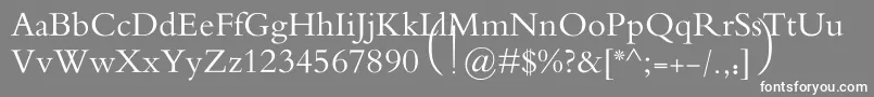 フォントMotkenAlRafidain – 灰色の背景に白い文字