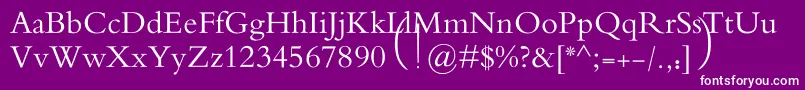 MotkenAlRafidain Font – White Fonts on Purple Background