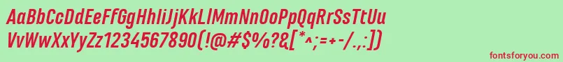 MarianinaFyBoldItalic Font – Red Fonts on Green Background