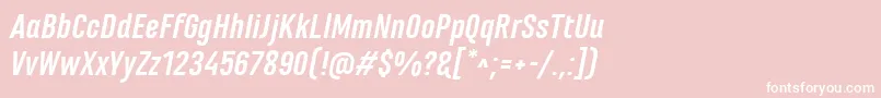 MarianinaFyBoldItalic Font – White Fonts on Pink Background