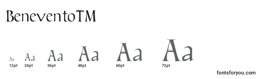 BeneventoTM Font Sizes