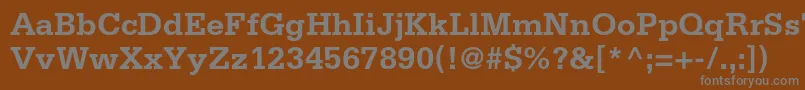 SerifastdBold Font – Gray Fonts on Brown Background