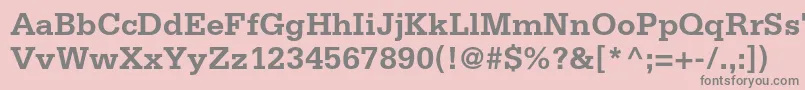 SerifastdBold Font – Gray Fonts on Pink Background