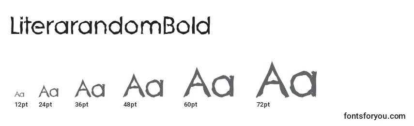 Размеры шрифта LiterarandomBold