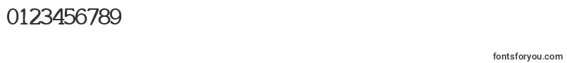 InclinatsskBold Font – Fonts for Numbers and Digits