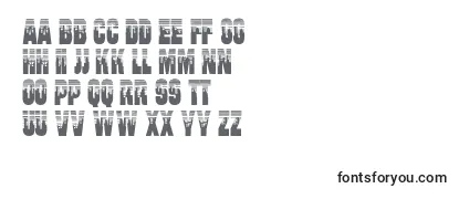 Review of the Will Font
