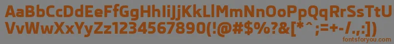 SkodaProExtrabold Font – Brown Fonts on Gray Background