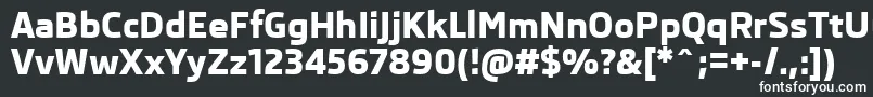 Шрифт SkodaProExtrabold – белые шрифты на чёрном фоне