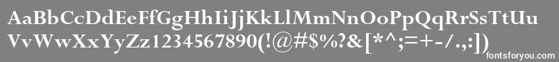 PerpetuastdBold-fontti – valkoiset fontit harmaalla taustalla