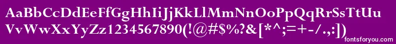 PerpetuastdBold-fontti – valkoiset fontit violetilla taustalla