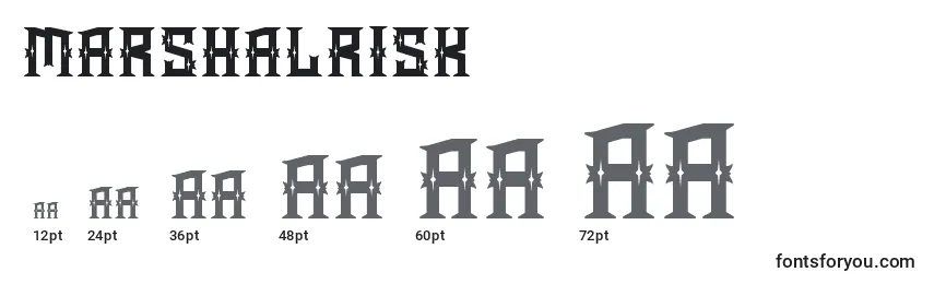MarshalRisk Font Sizes
