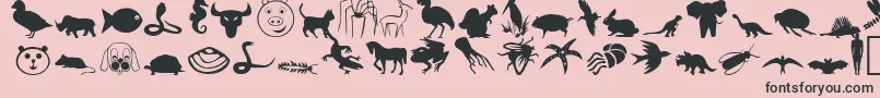 Más sobre la fuente CritterDingbatsNormal fuente CritterDingbatsNormal – Fuentes Negras Sobre Fondo Rosa