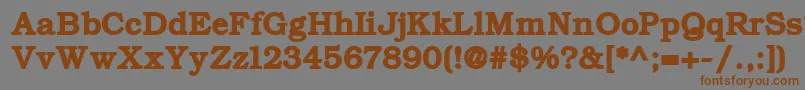 ErBukinistKoi8Bold Font – Brown Fonts on Gray Background