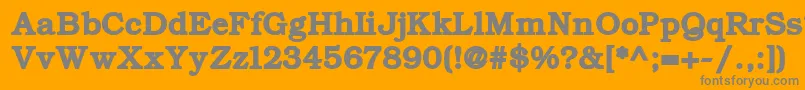 ErBukinistKoi8Bold Font – Gray Fonts on Orange Background