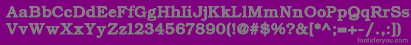 ErBukinistKoi8Bold Font – Gray Fonts on Purple Background