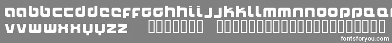 フォントNaxalite – 灰色の背景に白い文字